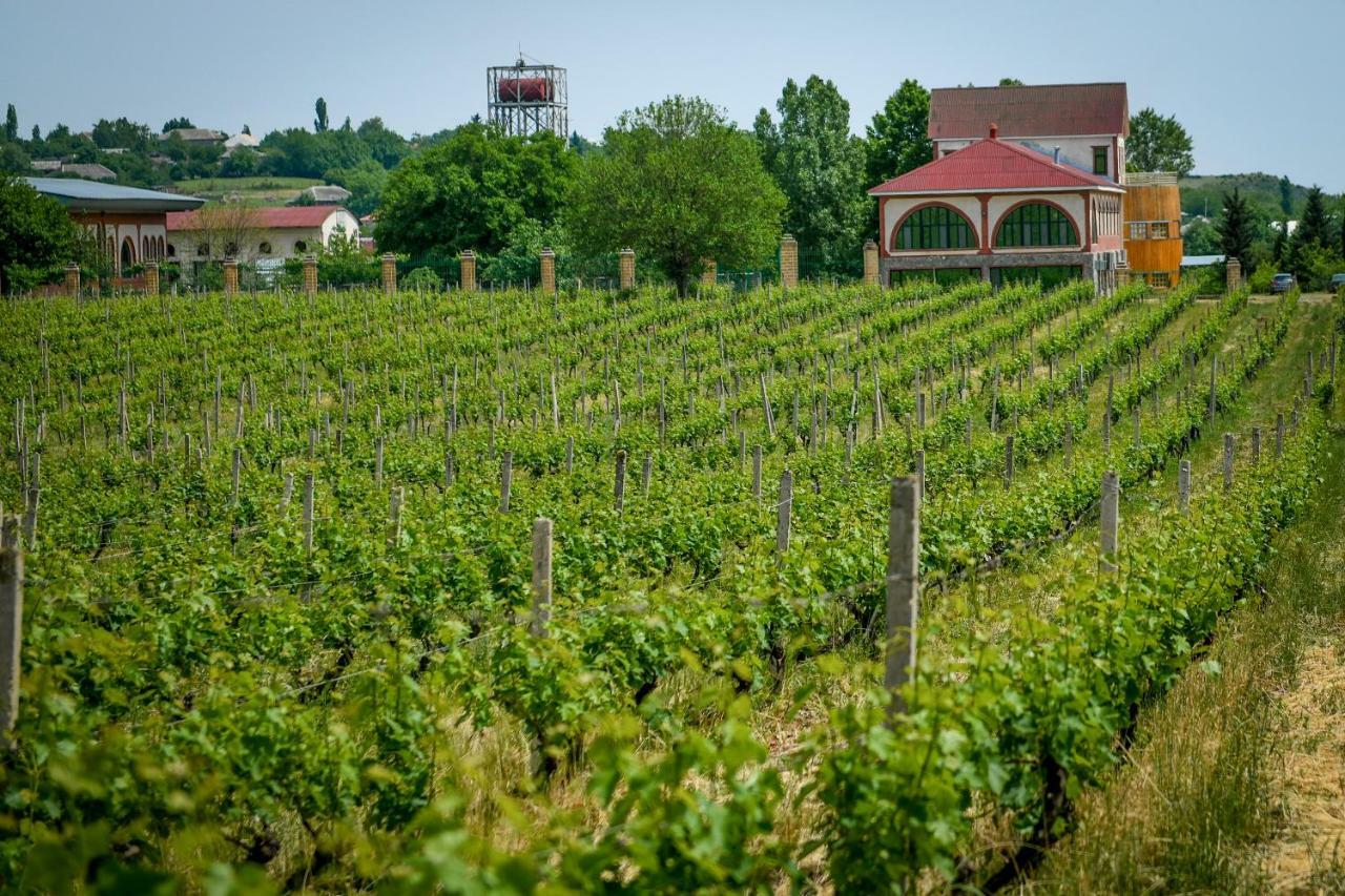 Chabiant Guesthouse Chateau Monolit Ikinci Yeniyol Exterior photo